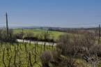 3216932
