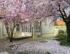 3223553