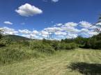 3225496